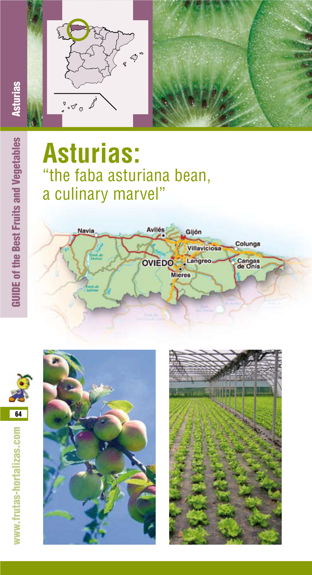 Asturias: “The Faba Asturiana Bean, a Culinary Marvel” GUIDE of the Best Fruits and Vegetables