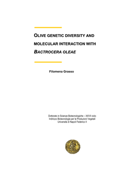Olive Genetic Diversity and Molecular Interaction With