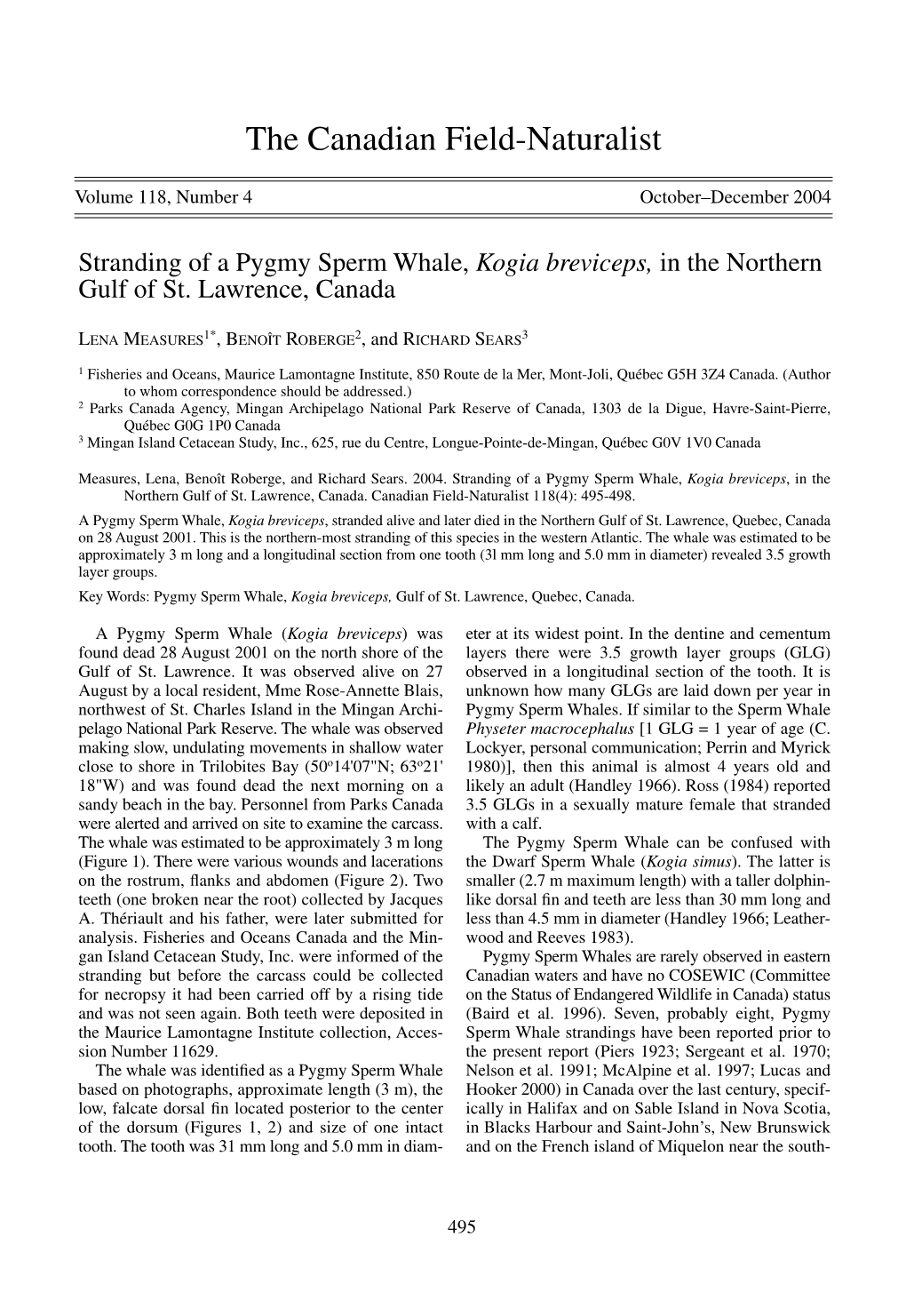 Stranding of a Pygmy Sperm Whale (Kogia Breviceps)