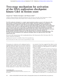 Two-Stage Mechanism for Activation of the DNA Replication Checkpoint Kinase Cds1 in Fission Yeast