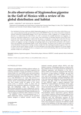 In Situ Observations of Stygiomedusa Gigantea in the Gulf of Mexico with a Review of Its Global Distribution and Habitat Mark C