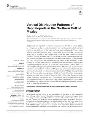 Vertical Distribution Patterns of Cephalopods in the Northern Gulf of Mexico