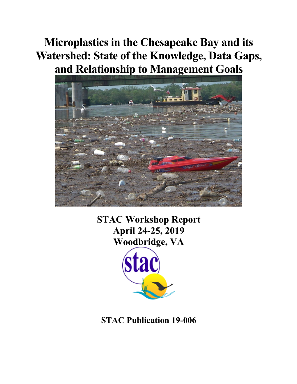 Microplastics in the Chesapeake Bay and Its Watershed: State of the Knowledge, Data Gaps, and Relationship to Management Goals