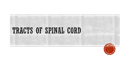 Ascending Tracts of Spinal Cord