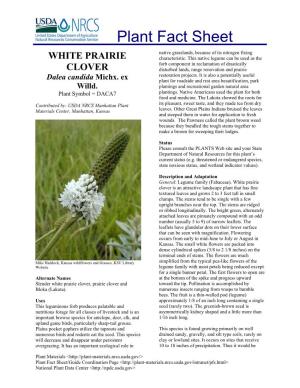 White Prairie Clover Plant Fact Sheet