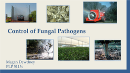 Control of Fungal Pathogens