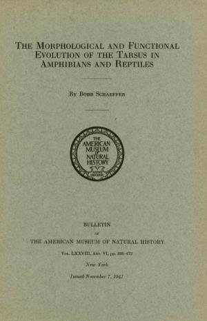 Amphilbian,S AN~D'reptiles'