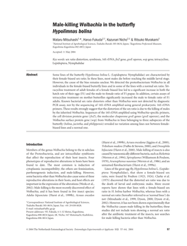 Male-Killing Wolbachia in the Butterfly Hypolimnas Bolina