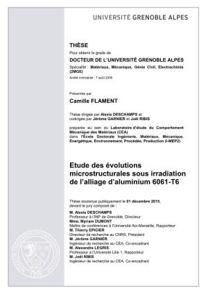 Etude Des Évolutions Microstructurales Sous Irradiation De L’Alliage D’Aluminium 6061-T6