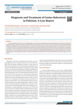 Diagnosis and Treatment of Canine Babesiosis in Pakistan, a Case Report