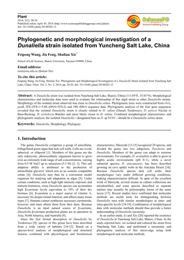 Phylogenetic and Morphological Investigation of a Dunaliella Strain Isolated from Yuncheng Salt Lake, China