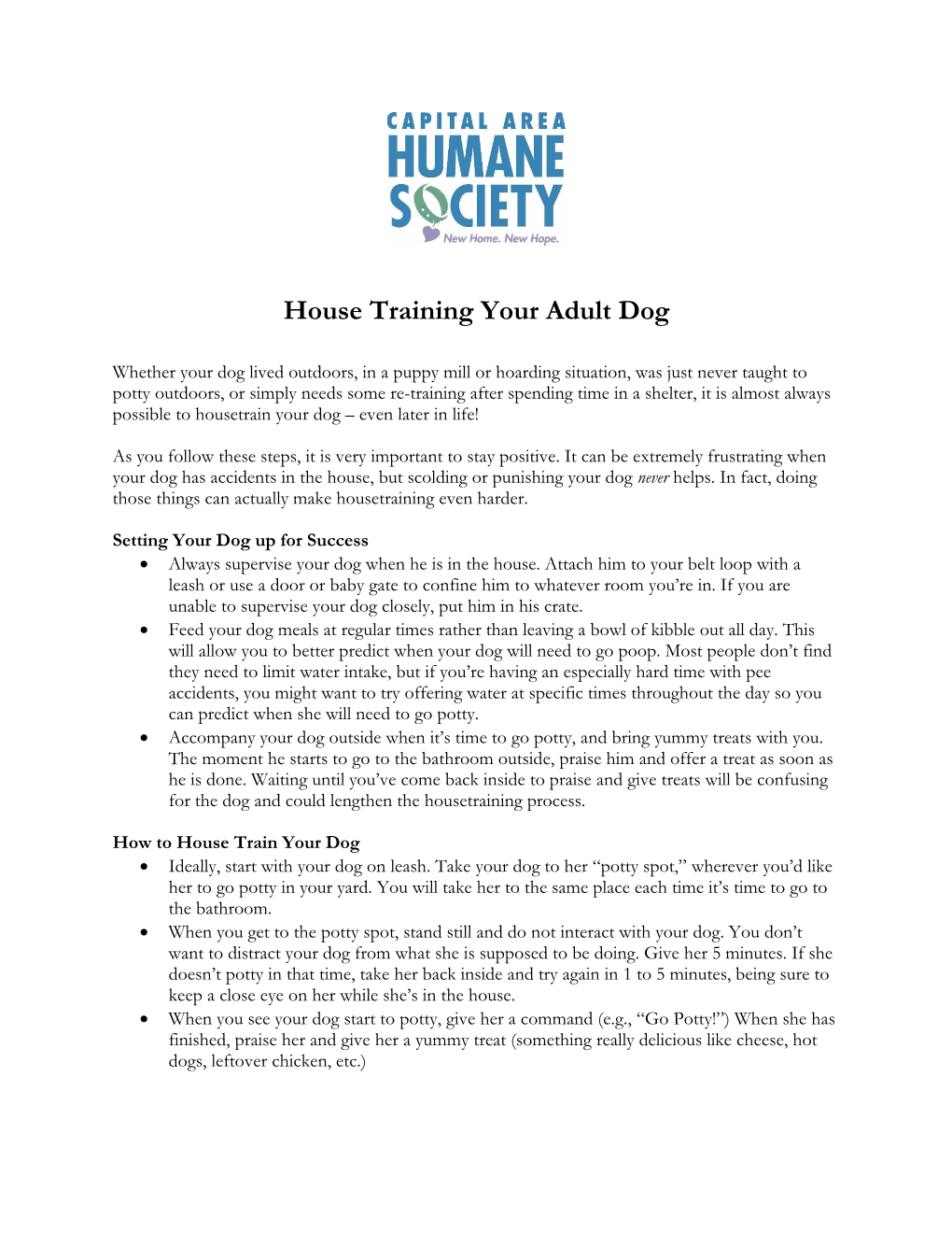 House Training Adult Dogs