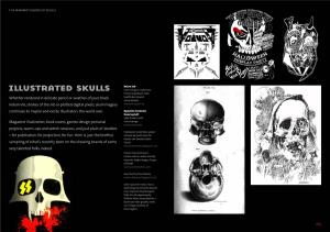 Illustrated Skulls