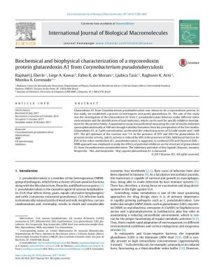 Biochemical and Biophysical Characterization of a Mycoredoxin