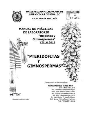 Pteridofitas Y Gimnospermas”