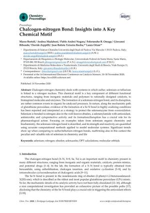 Chalcogen-Nitrogen Bond: Insights Into a Key Chemical Motif