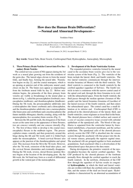 How Does the Human Brain Differentiate? —Normal and Abnormal Development—