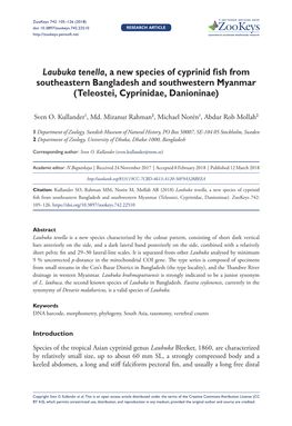 Laubuka Tenella, a New Species of Cyprinid Fish From