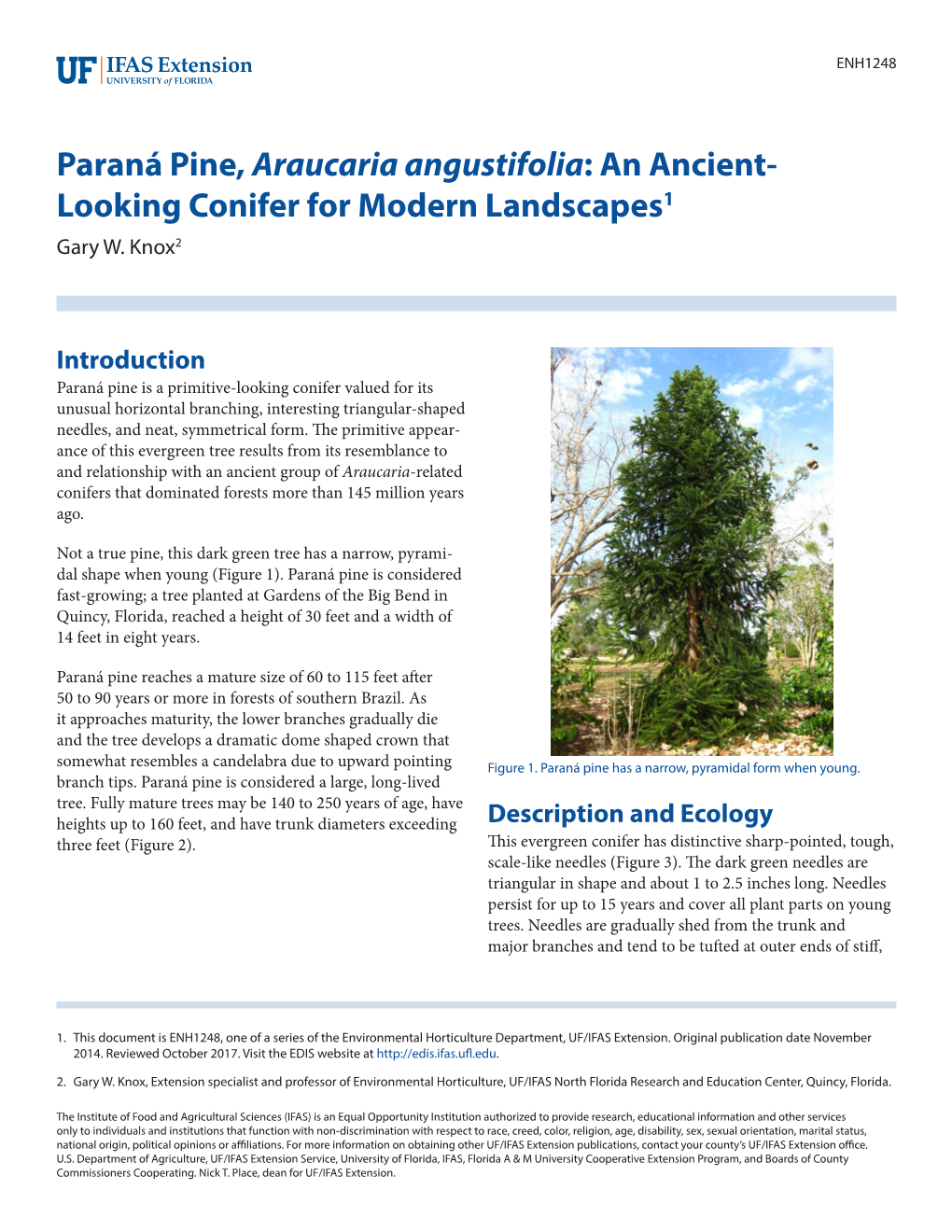 Paraná Pine, Araucaria Angustifolia: an Ancient- Looking Conifer for Modern Landscapes1 Gary W