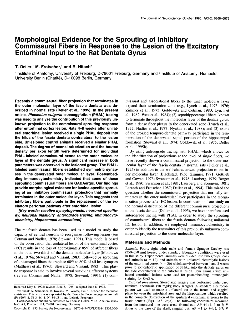 Morphological Evidence for the Sprouting of Inhibitory Commissural Fibers in Response to the Lesion of the Excitatory Entorhinal Input to the Rat Dentate Gyrus