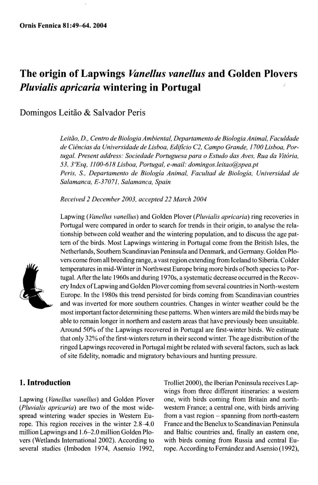 The Origin Oflapwings Vanellus Vanellus and Golden Plovers