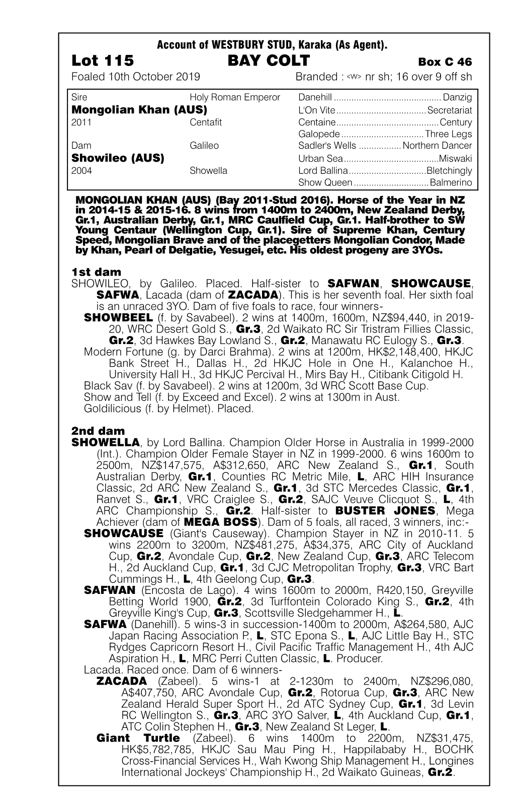 Lot 115 BAY COLT Box C 46 Foaled 10Th October 2019 Branded : Nr Sh; 16 Over 9 Off Sh