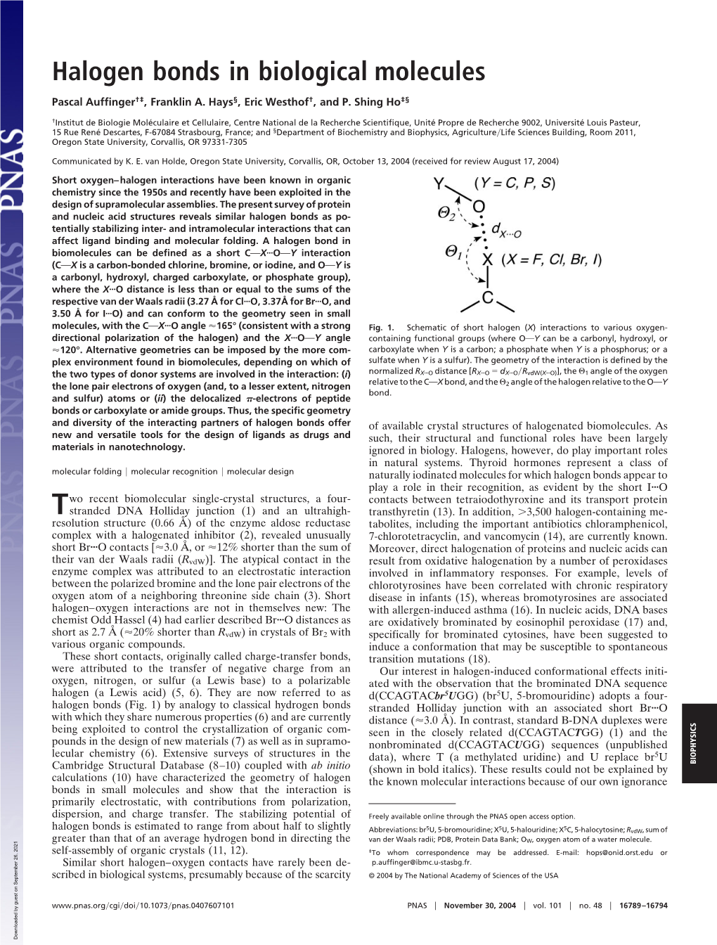 Halogen Bonds in Biological Molecules