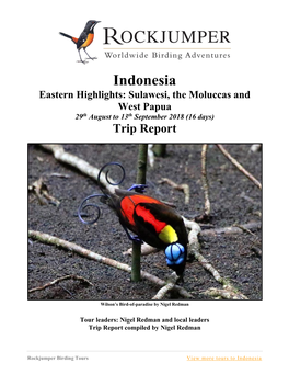 Indonesia Eastern Highlights: Sulawesi, the Moluccas and West Papua 29Th August to 13Th September 2018 (16 Days) Trip Report