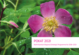 POKAT 2021: North Karelia's Regional Strategic Programme For