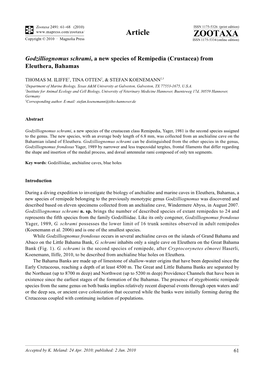 Zootaxa, Godzilliognomus Schrami, a New Species of Remipedia