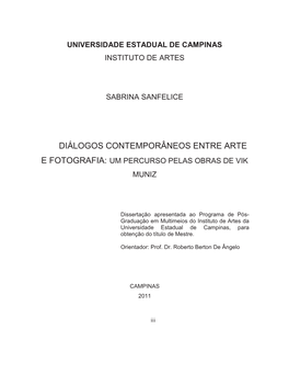 Diálogos Contemporâneos Entre Arte E Fotografia: Um Percurso Pelas Obras De Vik Muniz