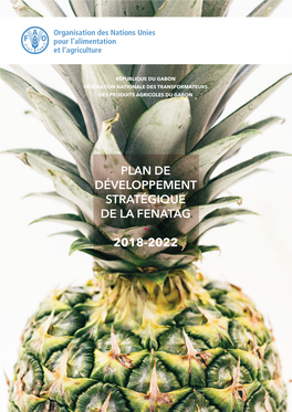 Plan De Développement Stratégique De La Fenatag - 2018-2022