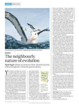 The Neighbourly Nature of Evolution