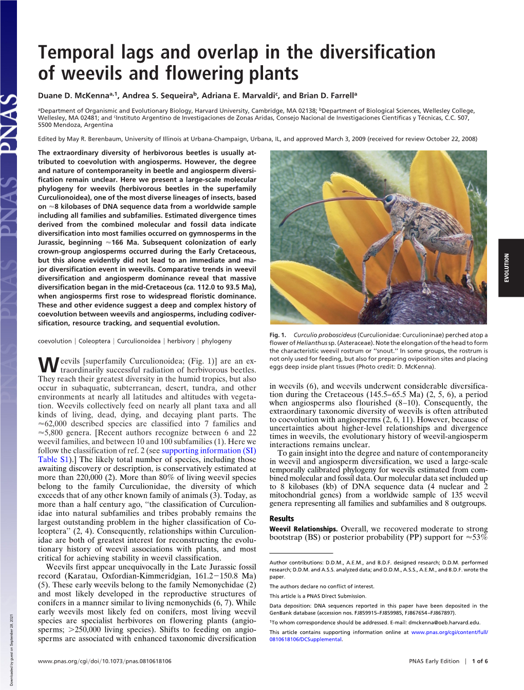 Temporal Lags and Overlap in the Diversification of Weevils and Flowering Plants