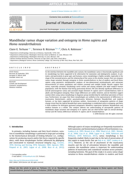 Mandibular Ramus Shape Variation and Ontogeny in Homo Sapiens and Homo Neanderthalensis