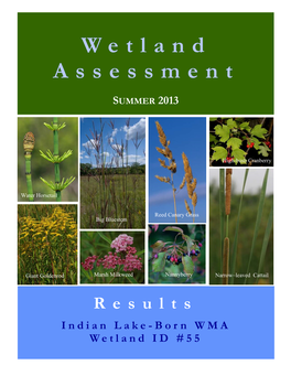Wetland Assessment Data Collected for One of Those Sites