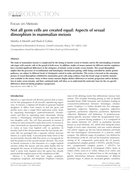 Aspects of Sexual Dimorphism in Mammalian Meiosis
