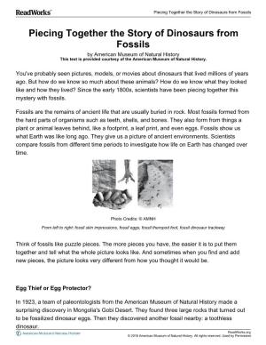 Piecing Together the Story of Dinosaurs from Fossils