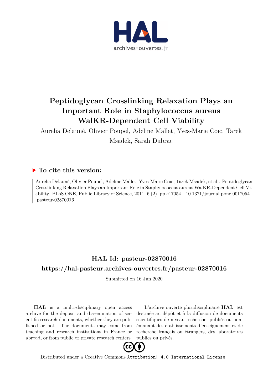 Peptidoglycan Crosslinking Relaxation Plays An