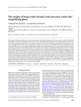 The Origin of King Crabs: Hermit Crab Ancestry Under the Magnifying Glass