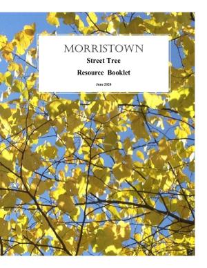 Morristown Street Tree Resource Booklet