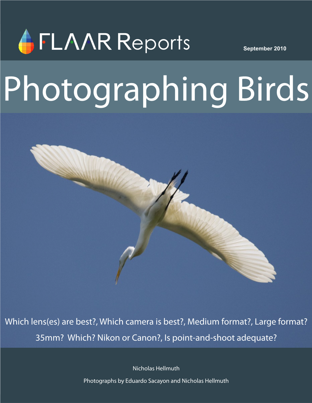 Photographing Birds Nature Photography Canon EOS 1Ds Mark
