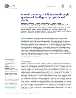 A Novel Pathway of LPS Uptake Through Syndecan-1 Leading To