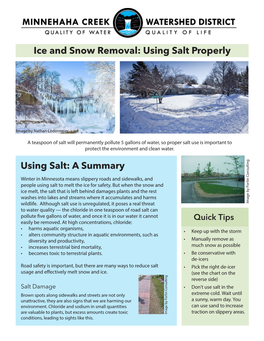 Snow Removal and Salt