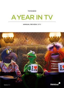 A Year in Tv