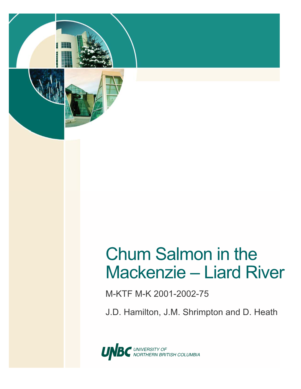 Chum Salmon in the Mackenzie – Liard River