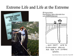 Extreme Life and Life at the Extreme