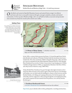 Speckled Mountain Heritage Hikes Bickford Brook and Blueberry Ridge Trails – 8.2-Mile Loop, Strenuous