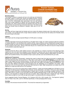 Russian Tortoise (Testudo Horsfieldii) Care Compiled by Dayna Willems, DVM