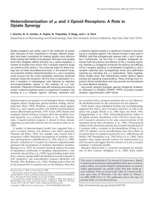 Heterodimerization of Μ and Δ Opioid Receptors: a Role in Opiate Synergy